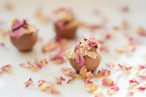 Moon Kaszinó Android/iOS Alkalmazás